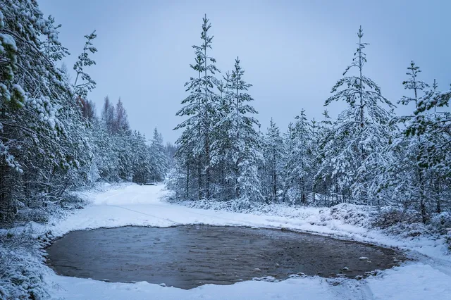 FIFU-pikkukuva