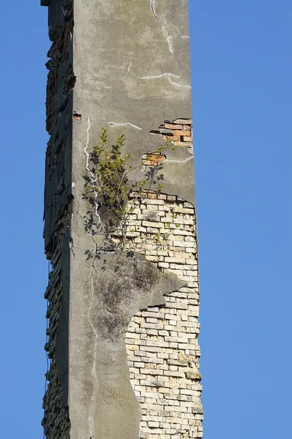 FIFU-pikkukuva