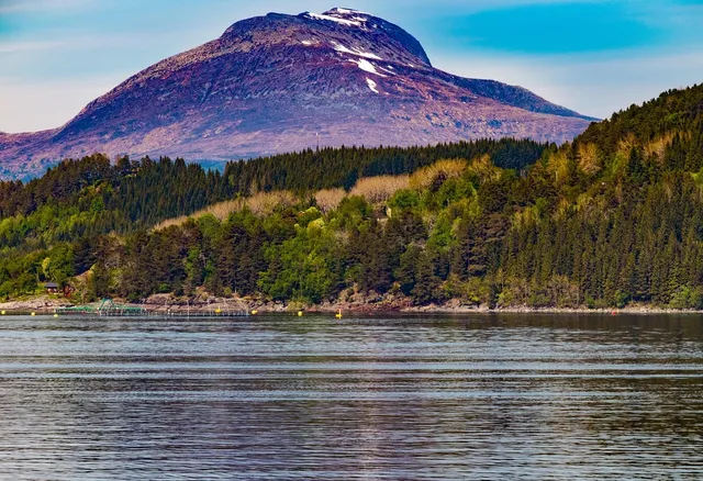 FIFU-pikkukuva
