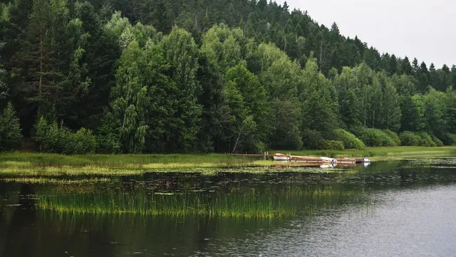 FIFU-pikkukuva